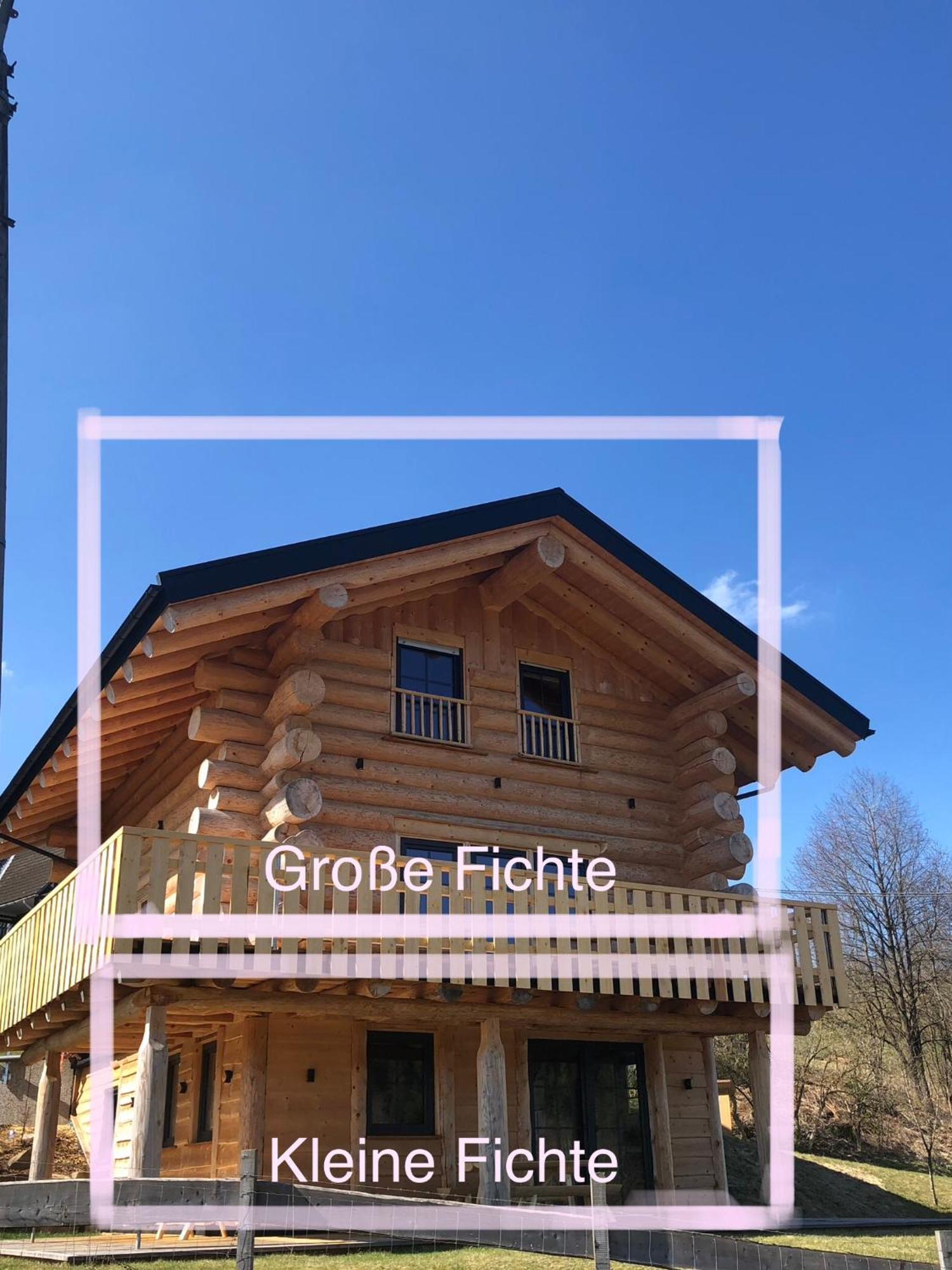 Fichtenhaus Am Wisentpfad 바트베르레부르크 외부 사진